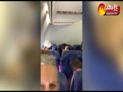 USA Woman Passenger Hits Flight Attendant