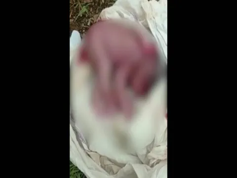 Baby Buried Alive In Srikakulam District