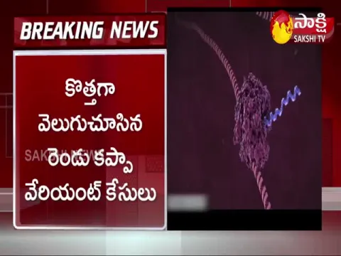 New Corona Variant In India