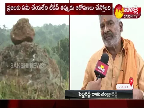 Minister Peddireddy Ramachandra Reddy Face To Face