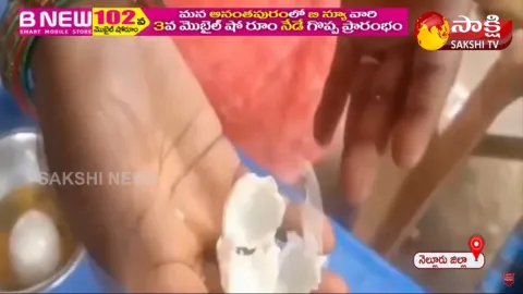 Plastic Eggs In Nellore District