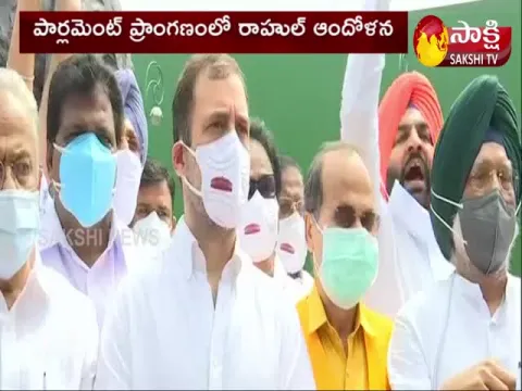 Rahul's Agitation For Support Of The Peasant Movement