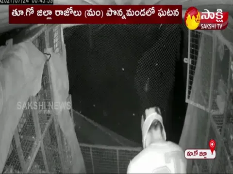 Young Man Stealing Pigeons Caught CC Cameras 