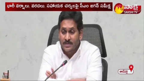 CM YS Jagan Video Conference With Collectors And SPs