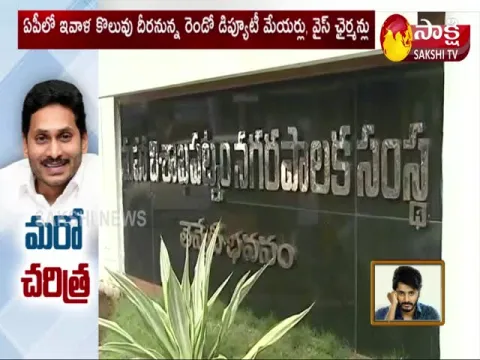 Second Deputy Mayor Vice Chairperson Election