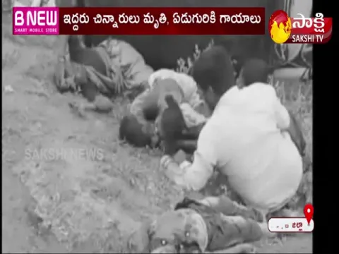 Two children killed in auto overturn: Kurnool