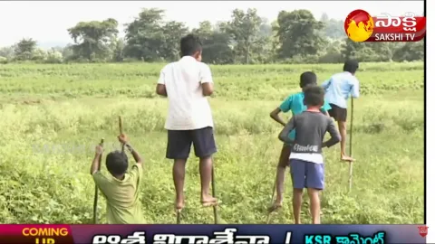Adilabad Tribal Kodang Festival
