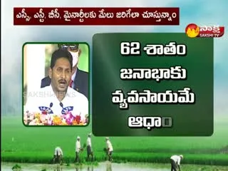 AP CM Jagan Speech At Independence Day 2021