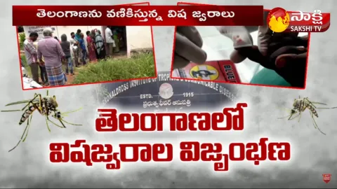 Dengue And Viral Fever Cases Rise In Telangana