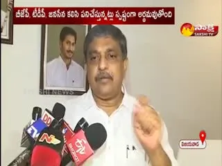 Sajjala Ramakrishna Reddy Comments On Bjp Party