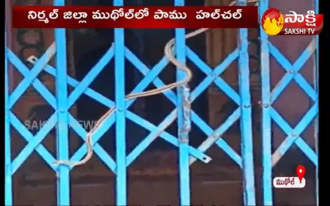 snake hulchul in temple at nirmal district