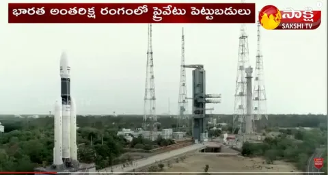 Private Sector in Space