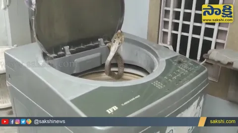 Viral Video: King Cobra Found In Washing Machine At West Godavari