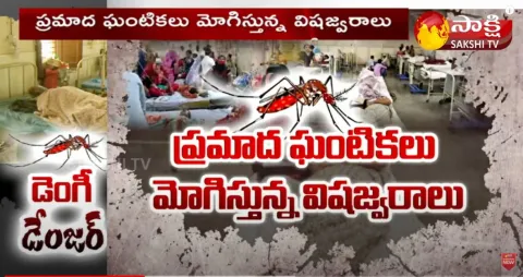 Dengue Outbreak In UP