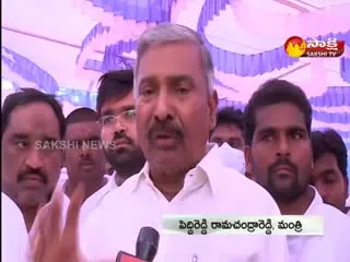 Peddy Reddy Ramachandra Reddy Fire On Chandrababu naidu