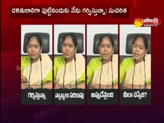 Home Minister  Sucharitha Fire On TDP Leaders 
