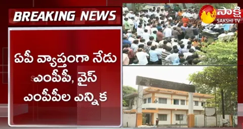MPP Elections In Andhra Pradesh Today