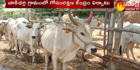 cow caring centre in prakasham district