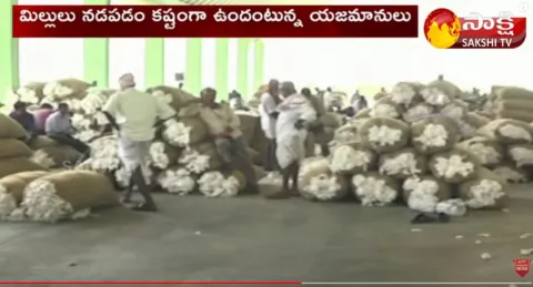 Rains Had Severe Impact On The Cotton Crop