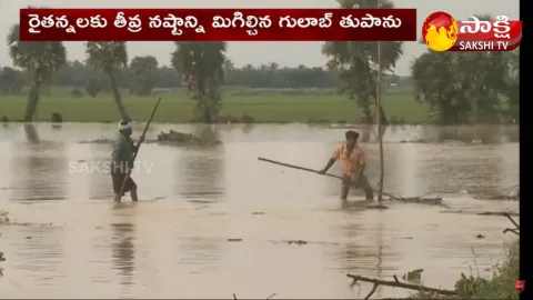 West Godavari Farmers On Cyclone Gulab