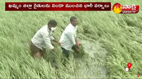 Khammam District Farmers Effected By Cyclone Gulab