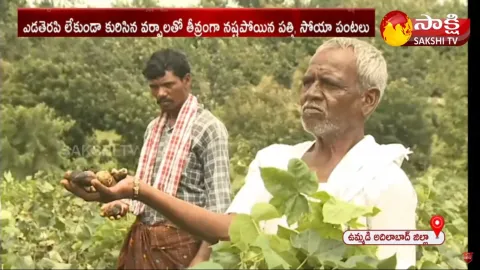 Gulab Cyclone Effects Adilabad Farmers