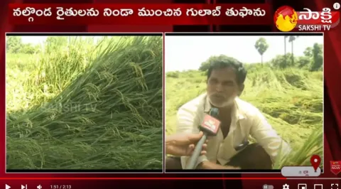 Gulab Cyclone Effect on Crops