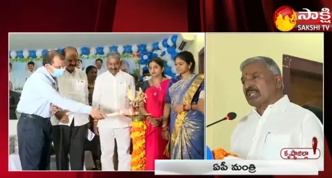 Peddireddy Ramachandra Reddy Serious Comments On Chandrababu Naidu 