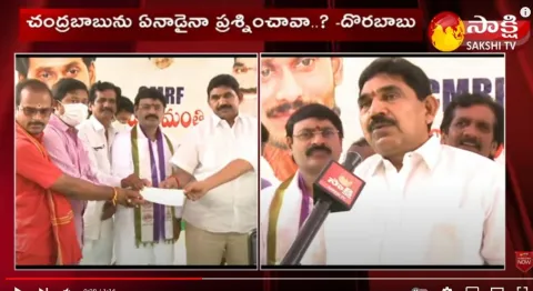 Pithapuram MLA Pendem Dorababu Comments On Pawan Kalyan Politics