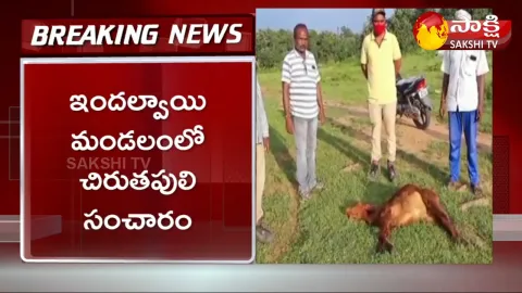 leopard spotted in nizamabad district