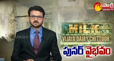 Sakshi Special Story On Chittoor Vijaya Dairy 