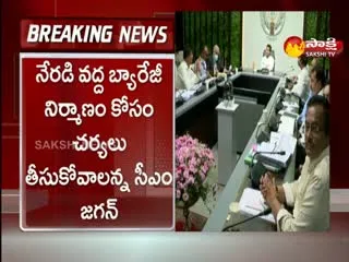 AP CM YS Jagan Review Meeting On Irrigation Projects At Tadepalli