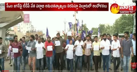YSRCP Student Wing Leaders Protest Against Pattabhi Comments at Nellore TDP Office