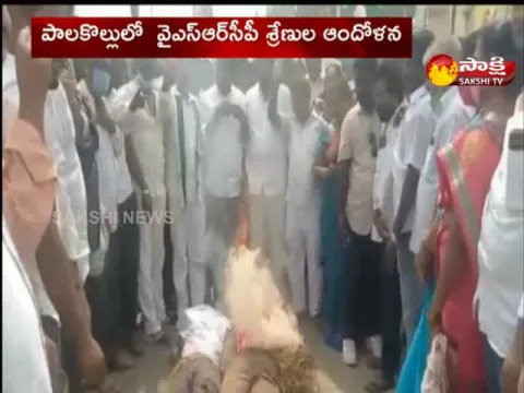 ysrcp leaders protest in palakollu