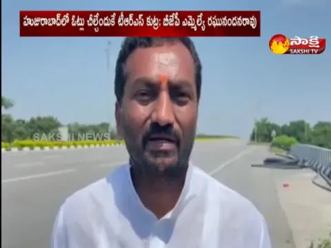 Raghunandhan Rao Fire On Trs