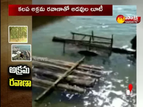 teak wood smuggling in mancherial district