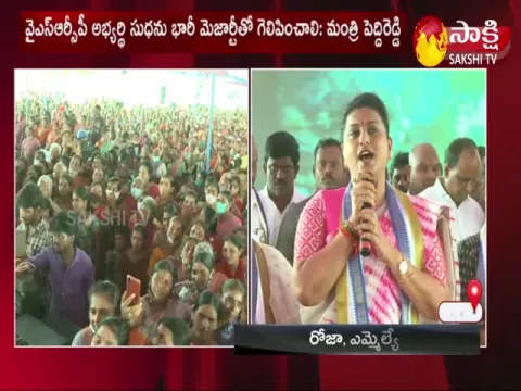 MLA Chevireddy Bhaskar Reddy Comments On Chandrababu Naidu Over Badvel Bypoll In YSR District
