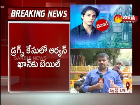 Aryan Khan Drugs Case: Aryan Khan Gets Bail In Drugs Case