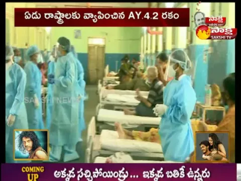 Corona Virus New Variant 17 Cases Report In 5 States