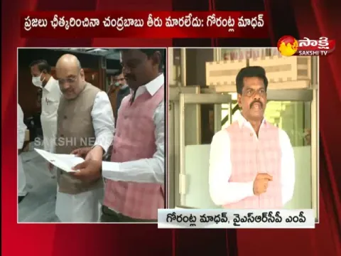 MP Gorantla Madhav Meets Amit Shah