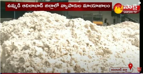 Cotton Purchase Scam in Adilabad
