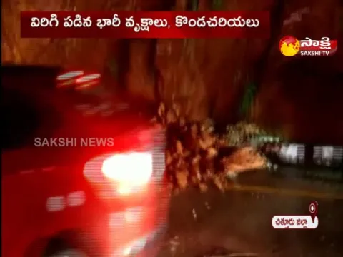 Huge Broken Trees On Thirumala Ghat Road