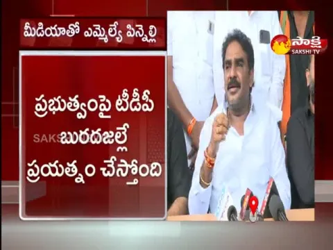 Guntur District YSRCP MLAs Fires ON TDP