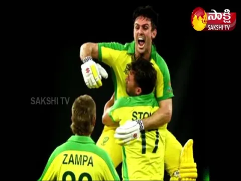 Australia Won T20 World Cup 2021 Beat New Zeland By 8 Wickets Final