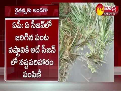 Andhra Pradesh:Subsidy to Gulab Cyclone Affected farmers