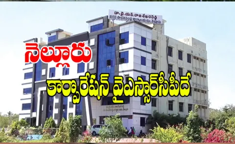 PSR Nellore District Corporation Election Win YSR Congress Party