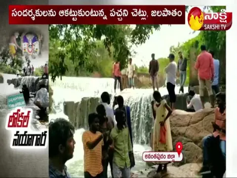 nayagara water falls in ahobilam