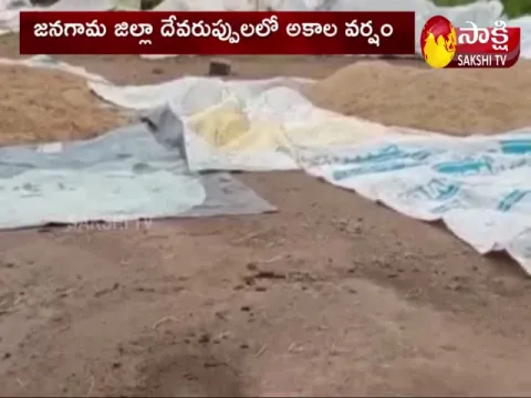  Crops Destroyed Due to Heavy Rains in Jangaon District