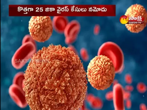 Zika Virus: Kanpur Reports 25 New Zika Virus Cases
