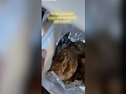 ikToker Shared A Video She Carrying An Entire Roast Fish On A Plane